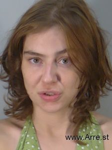 Erin Fowler Arrest Mugshot