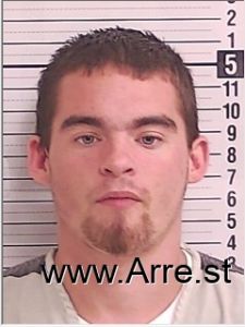 Ethan Reese Arrest