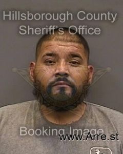 Francisco Hernandez Arrest