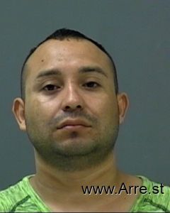 Fabian Cuevascastro Arrest