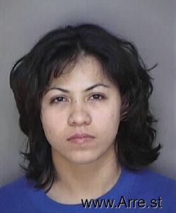 Gladys Castro Arrest Mugshot