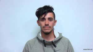 Gonzalez Gonzaleztrejo Arrest Mugshot