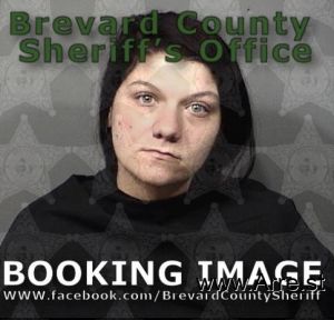 Hailee Wheeler Arrest