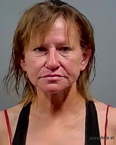 Heidi Gibson Arrest Mugshot
