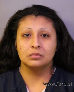 Irene Chavez Arrest