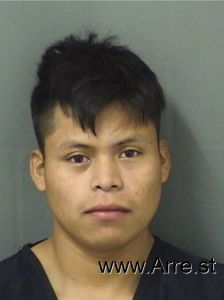 Joel Perezvelasquez Arrest Mugshot