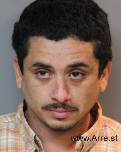 Javier Ortiz Arrest
