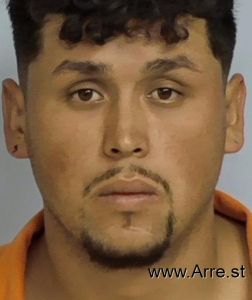 Jose Almanza Villafana Arrest