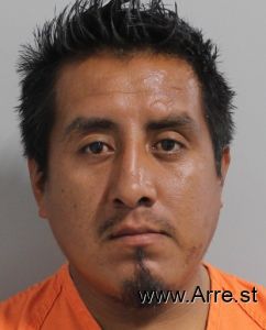 Jose Sanchezvargas Arrest