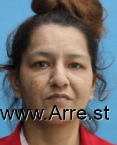 Julia Pineda Arrest Mugshot