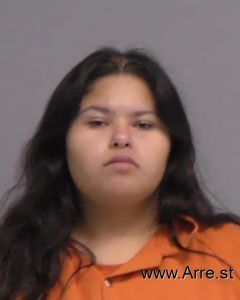 Julieth Araujo Arrest Mugshot