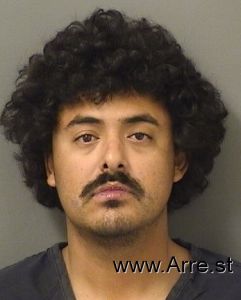 Luis Candell Arrest