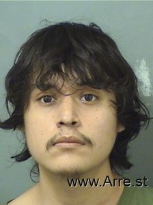 Luis Trejo Arrest