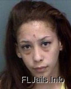 Luz Garcia Arrest Mugshot