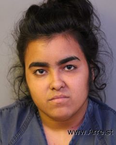 Lakeisha Caraballo Santana Arrest
