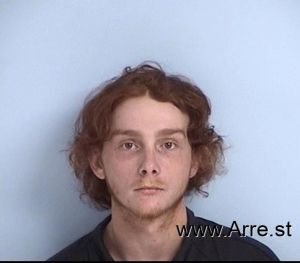 Lane Free Arrest Mugshot