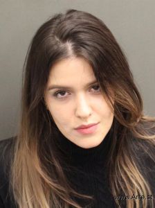 Leticia Dejesuspalmabraga Arrest