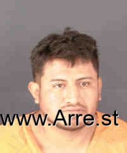 Marbel Verdugo Ortiz Arrest