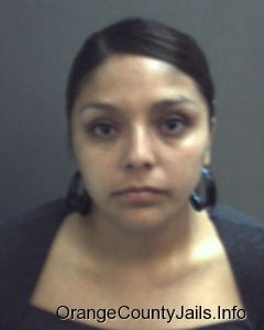 Marisol Rico  Arrest Mugshot
