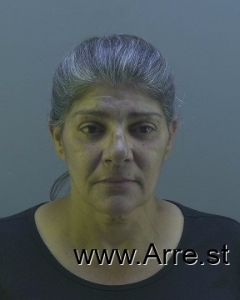 Melba Fernandez Arrest Mugshot