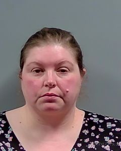 Melissa Bruggeman Arrest Mugshot