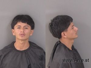 Melkis Lopez Dubon Arrest Mugshot