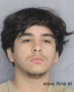 Nestor Perez Arrest