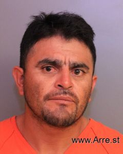 Noe Lujano Arrest