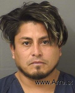 Ronel Santosnunez Arrest Mugshot