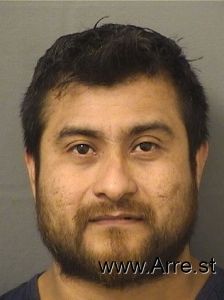 Ruben Villaavalos Arrest