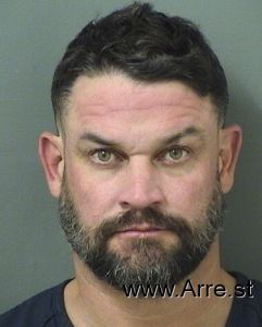 Ryan Fitzpatrick Arrest