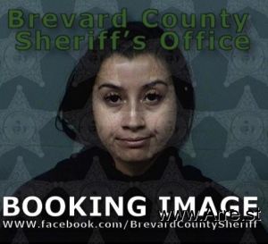 Rachel Ramirez Arrest
