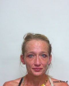 Rebecca Wrobel Arrest Mugshot