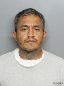 Ricardo Mendoza Arrest