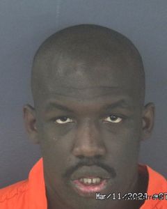 Robert Brandon Arrest Mugshot