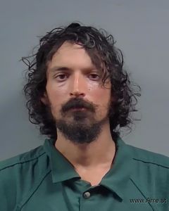 Ryan Bass Arrest