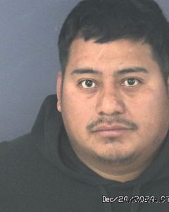 Sales Salesmendez Arrest Mugshot