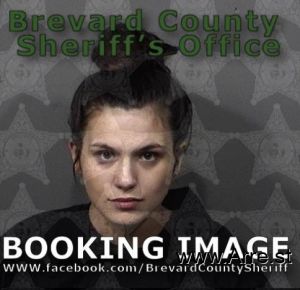 Savannah Sullivan Arrest