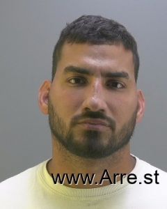 Sergio Mena Rivero Arrest Mugshot