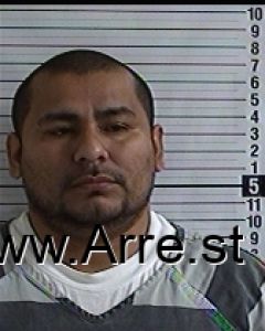 Sergio Requena-ruiz Arrest