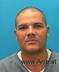 Stephen Mitchell Arrest