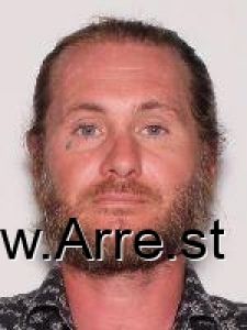 Steven Hollan Arrest Mugshot