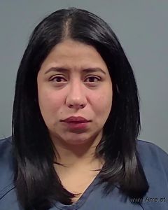 Villar Villargarcia Arrest Mugshot