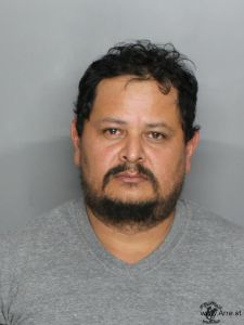 Wilton Salinas Arrest Mugshot