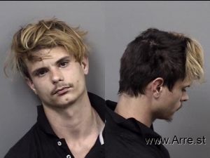 Michael Mcclanahan Arrest Mugshot