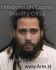 ALBERTO LIZARDO Arrest Mugshot Hillsborough 09/24/2015