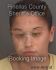 AMANDA FORGY Arrest Mugshot Pinellas 08/06/2013