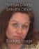 AMY LONG Arrest Mugshot Pinellas 10/11/2013