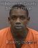 ANDRE JOHNSON Arrest Mugshot Hillsborough 03/20/2025