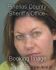 ANNA WILSON Arrest Mugshot Pinellas 01/08/2014